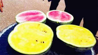 吃瓜爆料每日大瓜网