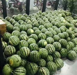 2023校园吃瓜爆料