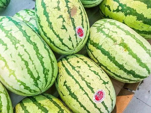 江阴网红吃瓜事件真相是真的吗,事实与谣言的较量