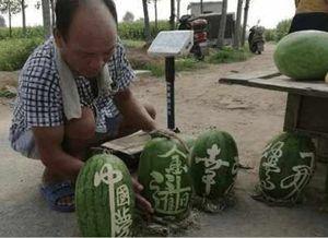 镇平网红吃瓜事件真相是真的吗,真相揭秘，还原事件始末