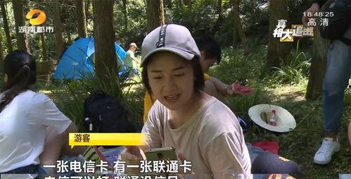 景区吃瓜网红事件视频,一场网络狂欢背后的争议与反思